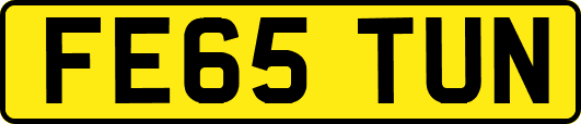 FE65TUN