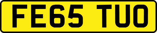 FE65TUO