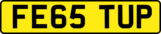 FE65TUP