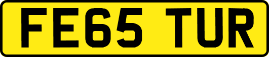 FE65TUR