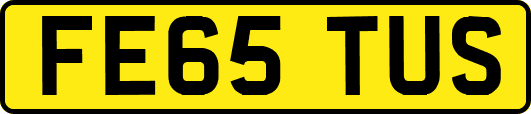FE65TUS