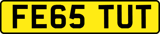 FE65TUT