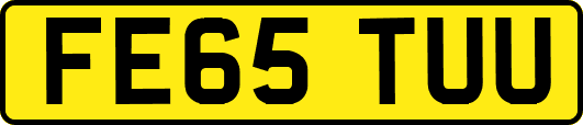 FE65TUU