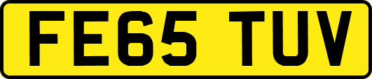 FE65TUV
