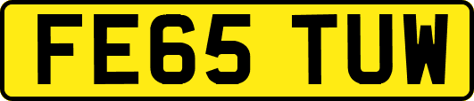 FE65TUW