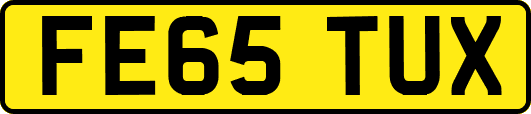 FE65TUX