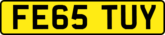 FE65TUY