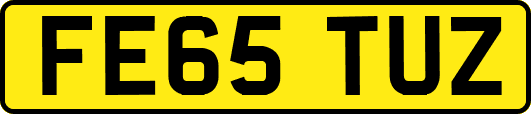 FE65TUZ