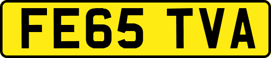 FE65TVA