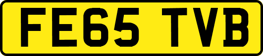 FE65TVB
