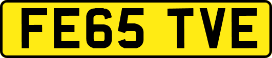 FE65TVE