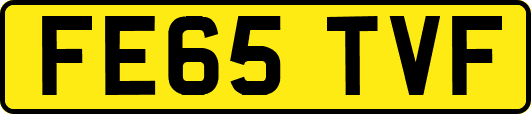FE65TVF