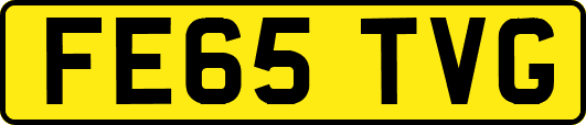 FE65TVG