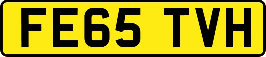 FE65TVH