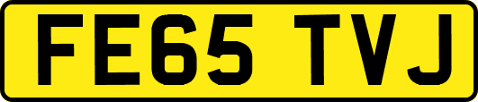 FE65TVJ