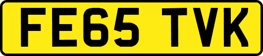FE65TVK