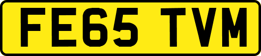 FE65TVM