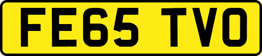 FE65TVO