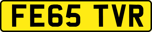 FE65TVR