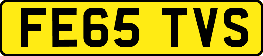 FE65TVS