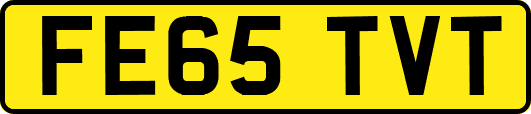 FE65TVT