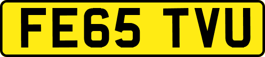 FE65TVU