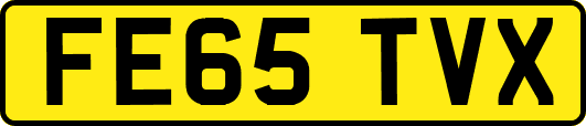 FE65TVX