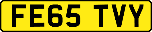 FE65TVY