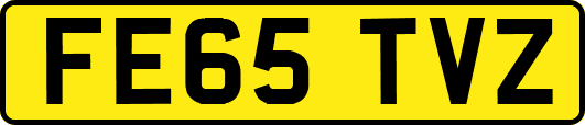 FE65TVZ