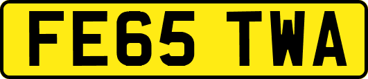 FE65TWA