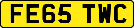 FE65TWC