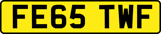 FE65TWF