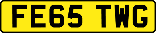 FE65TWG
