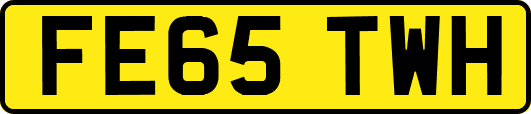FE65TWH