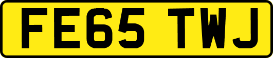 FE65TWJ