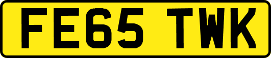 FE65TWK