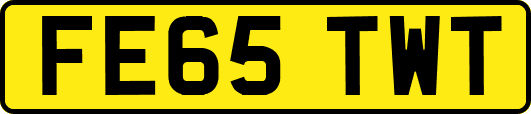 FE65TWT