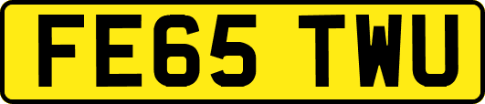 FE65TWU
