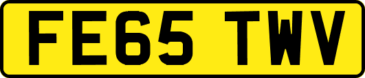 FE65TWV
