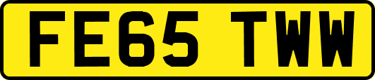 FE65TWW