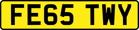 FE65TWY