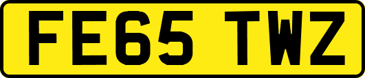 FE65TWZ