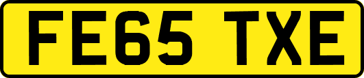 FE65TXE