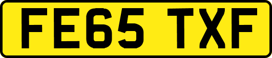 FE65TXF