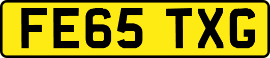 FE65TXG