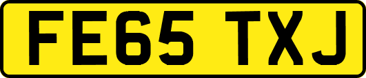 FE65TXJ
