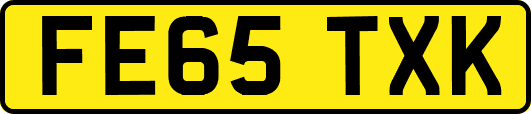 FE65TXK