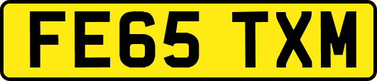 FE65TXM