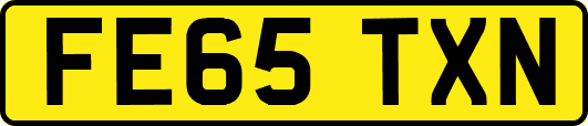 FE65TXN