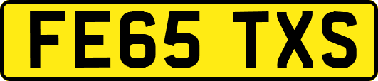 FE65TXS